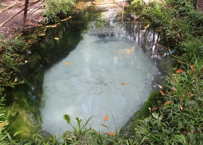 Sothea Angkor Garden View Siem Reap